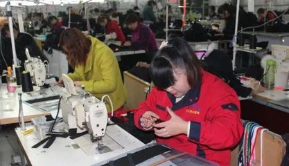 全國先進集體！東平人社彰顯脫貧攻堅的“東平力量”